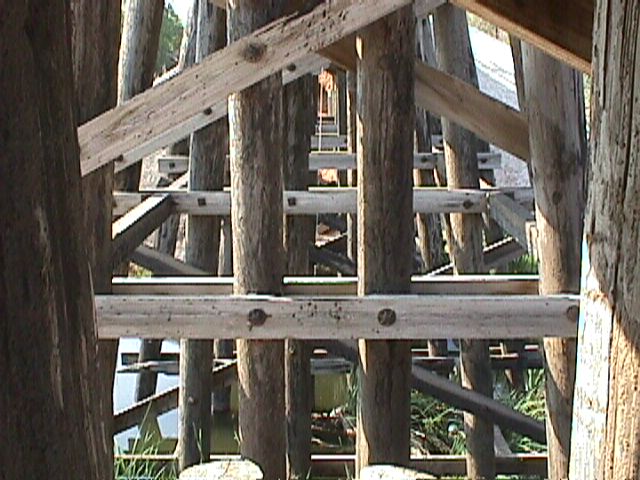 wpe97664.gif (247568 bytes)