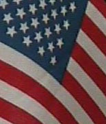 wpe97664.gif (247568 bytes)